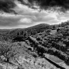 Les terrasses